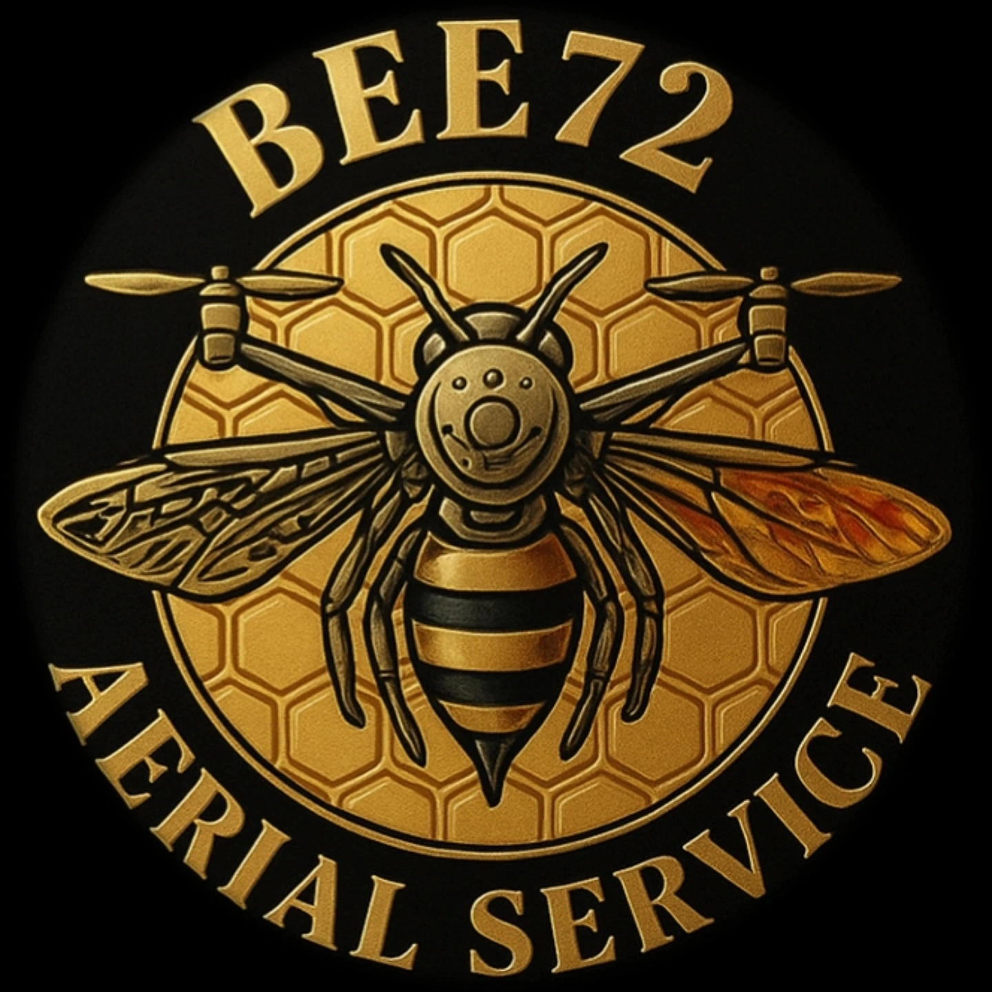 Bee72 Servizi Aerei con Droni